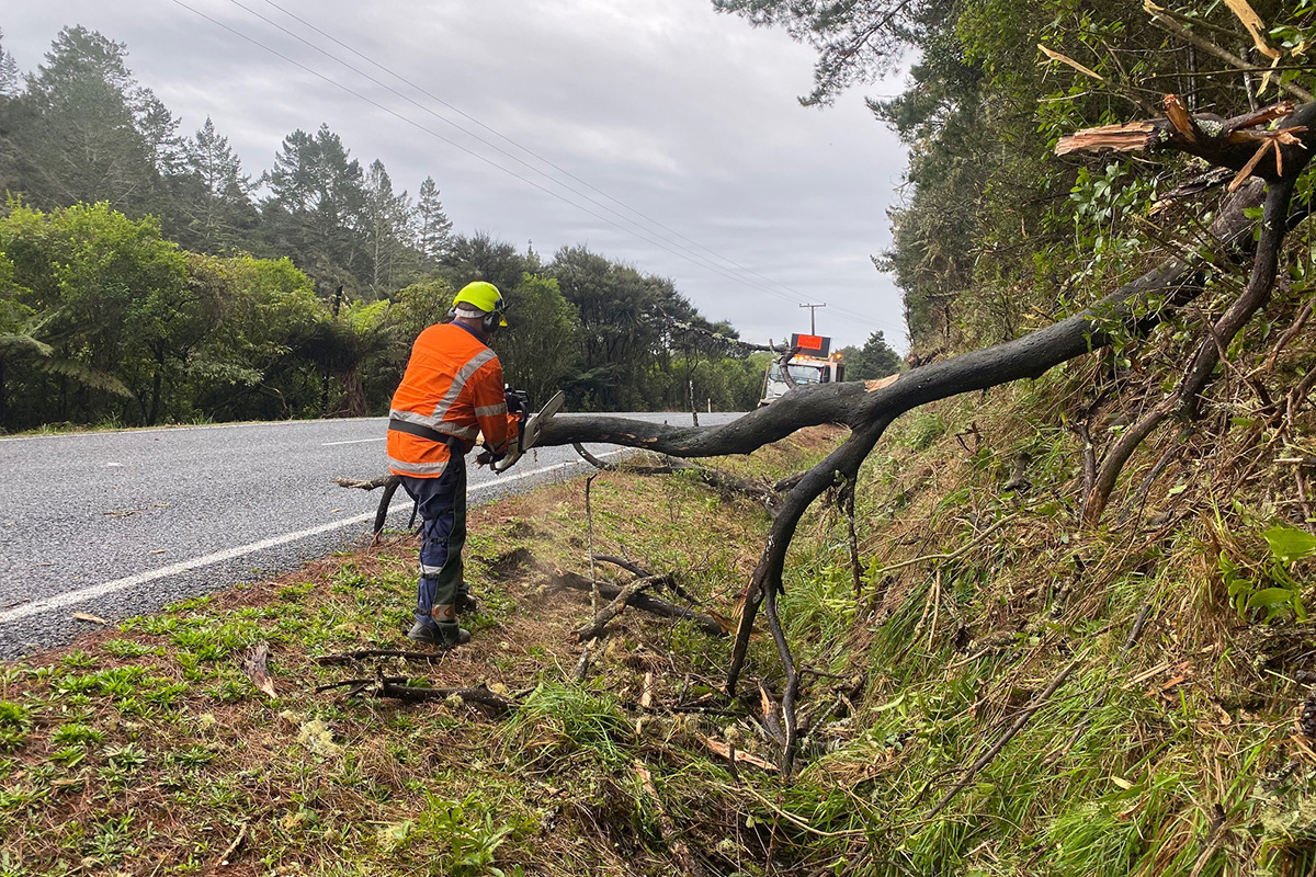 A person wearing hi-vis pruning a tree using a chainsaw.